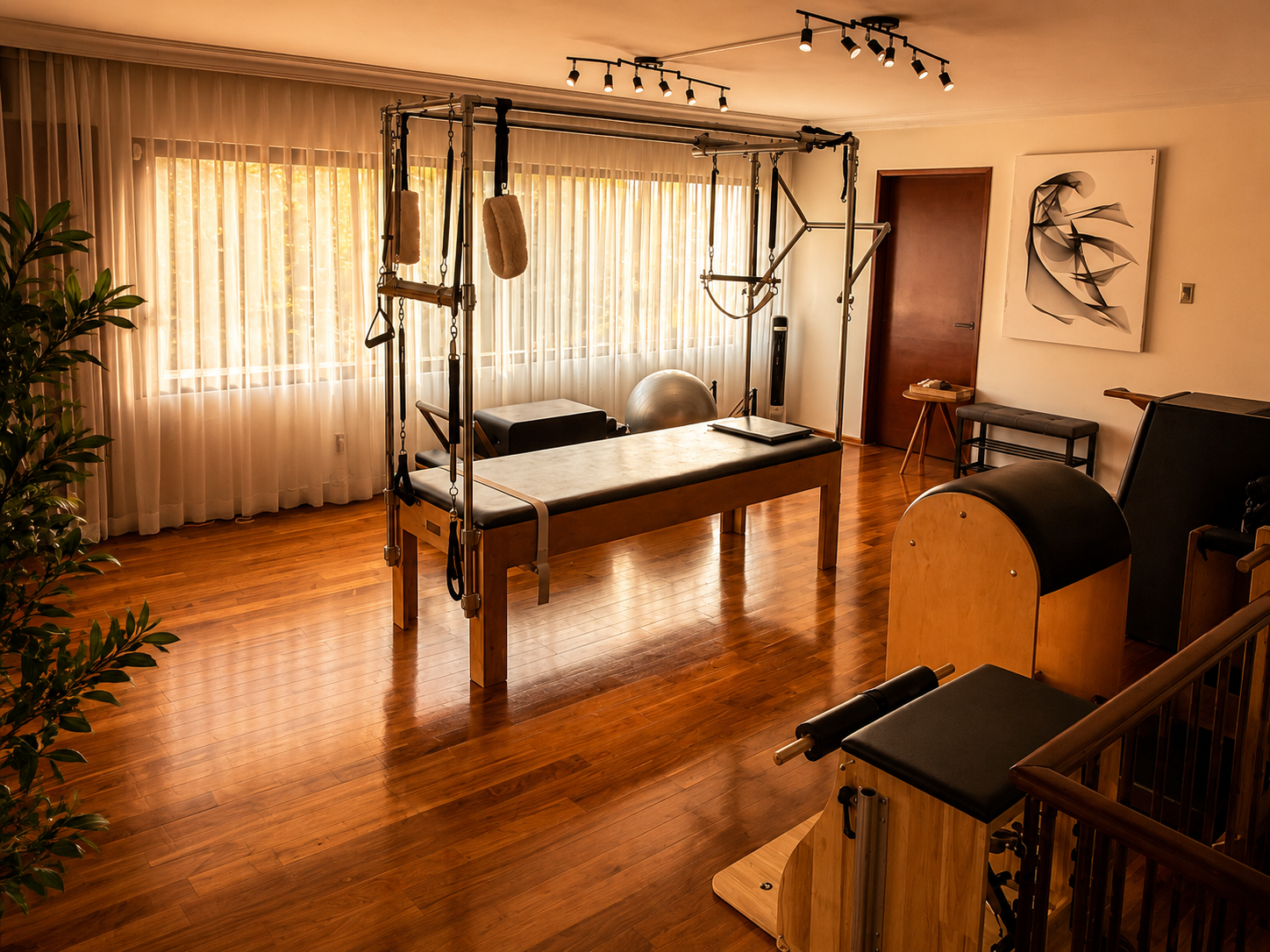 El estudio Longeva